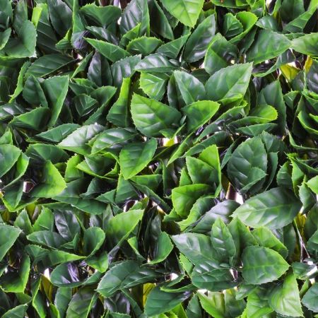 Picture of Artificial Gardenia Leaf Trellis - 100cm x 200cm