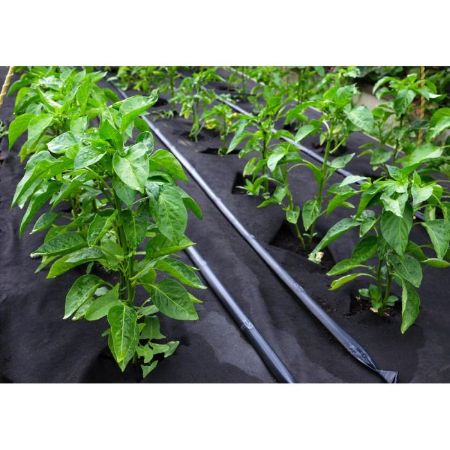 Picture of Weed Control Woven Fabric  120gm - 2m X 50m