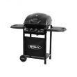 Picture of Omega 200 2 Burner Gas Bbq