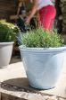 Picture of Eden Emblem Planter Blue 40cm