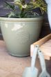 Picture of Eden Emblem Planter Green 40cm