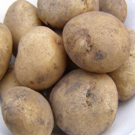 Picture of Dp011 5kg British Queens Second Earl Potatoes