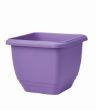 Picture of 30cm Patio Planter Lavender
