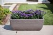 Picture of 60cm Planter Trough Dark Brown