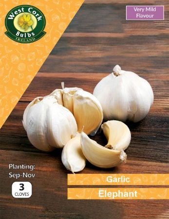 Picture of Garlic Elephant 3 Cloves Prepack
