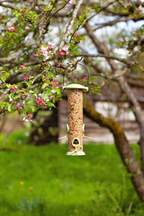 Picture of Twist Top Seed Feeder 30cm