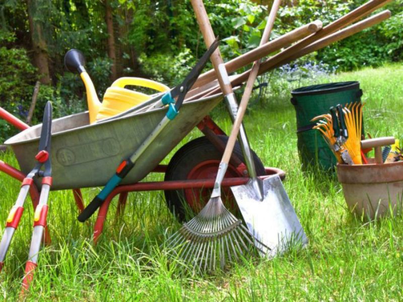 Picture for category Yard & Garden Tidy Up Tools