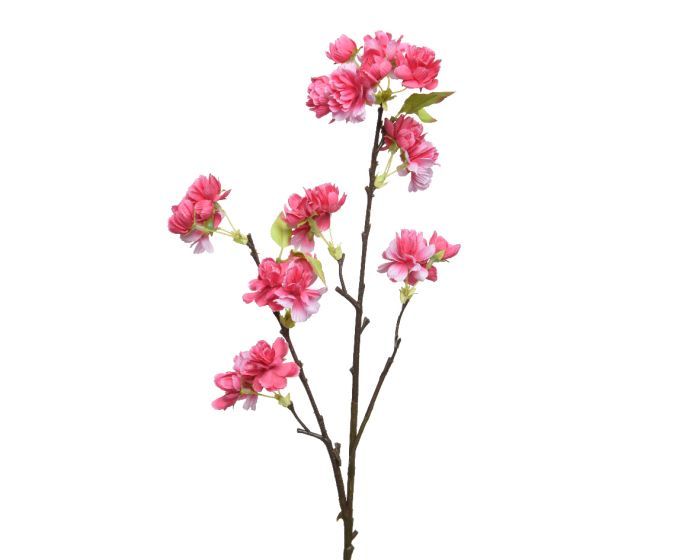 Picture of Blossom Peach On Stem