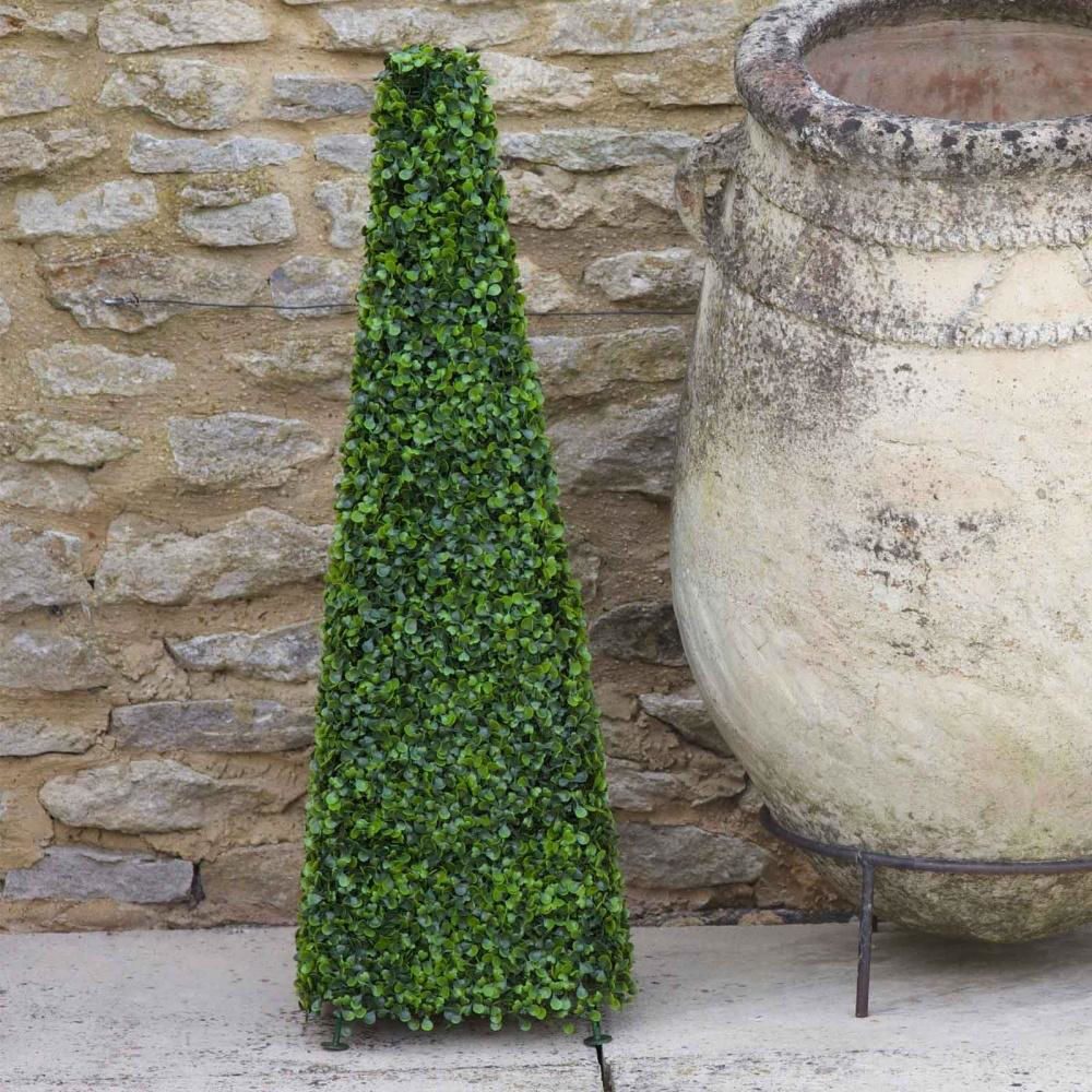 Picture of Boxwood Topiary Obelisk - 60cm