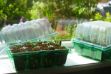 Picture of Gro-Sure Visiroot Twin Propagator