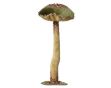 Picture of 519202 Mushroom Velvet Green 51cm