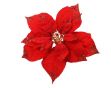 Picture of 627530 Poinsettia On Clip 6cm Red