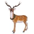 Picture of Standing Deer With Antlers