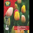 Picture of MIXDT25 Tulips Mixed Double 25 pack 11/12