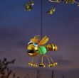 Picture of Beeglo