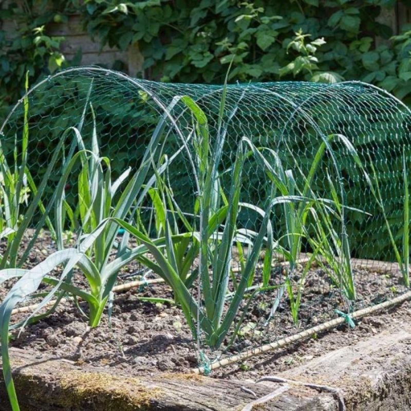 Topline Doyles.Pvc Wire Netting 25Mm Green 1 X 5M