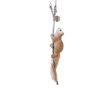 Picture of 455571 Squirrel polyester stars brown