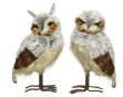 Picture of 457695 Owl polyester feathers 2ass brown/colo